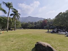 -深圳仙湖植物园
