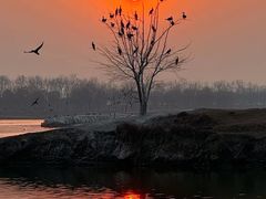 -盐城丹顶鹤湿地生态旅游区