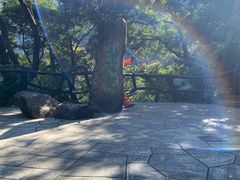 -梧桐山风景名胜区