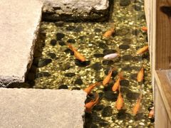 -邈墨茶馆(凤起路店)