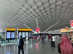 -郑州新郑国际机场-T2航站楼