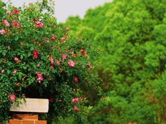 -上海交通大学(闵行校区)