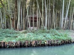 -同里国家湿地公园