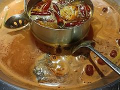 -谭鸭血老火锅(万象九宜城店)