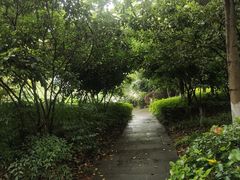 -杭州半山国家森林公园