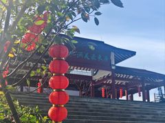 -大湾区中央湿地公园