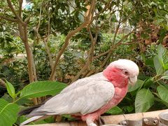 -南宫五洲植物乐园