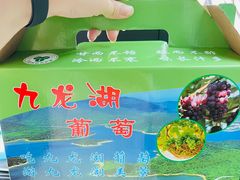-宁波九龙湖开元度假村