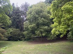 -杭州植物园