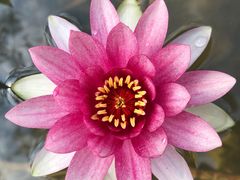 -昆山城市生态森林公园