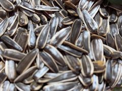 -果松木炭酸菜铜火锅·外婆参鸡汤