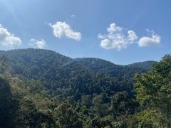 -野象谷景区