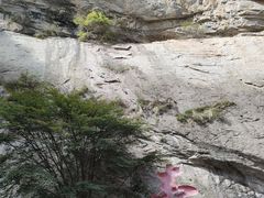 -陕西省红河谷森林公园