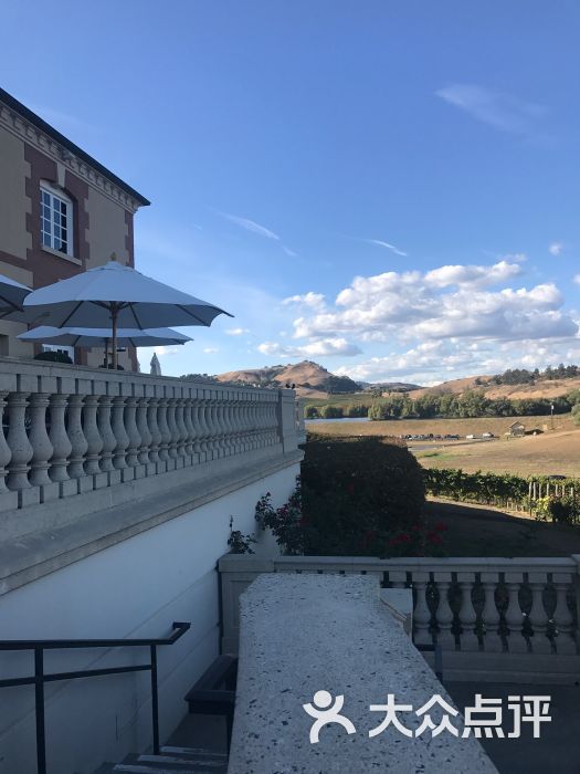 domaine carneros图片 - 第4张
