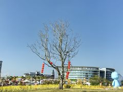 -星乐度·露营小镇