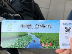 -白洋淀景区