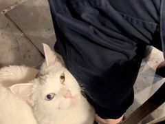 -张记牛肉面馆(天津路店)