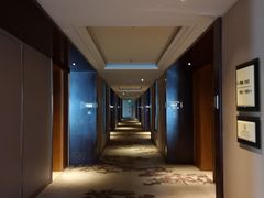 -新都绿城喜来登酒店大堂吧