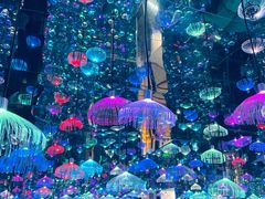 -梵高星空艺术馆(北京旗舰店)