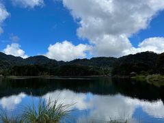 -海南热带雨林国家公园吊罗山景区