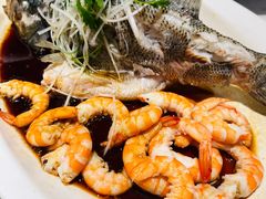 -T11生鲜超市(朝阳公园店)