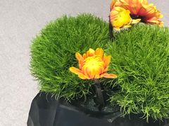 -南堂馆·新川菜(春熙路店)