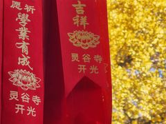 -灵谷景区