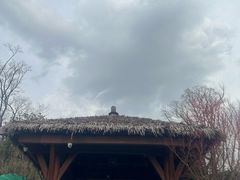-七彩云南古滇温泉山庄
