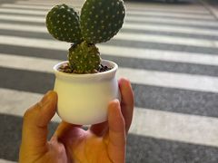 -芸南道·过桥米线(昆明老街旗舰店)