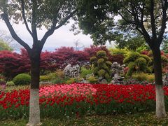 -上海鲜花港