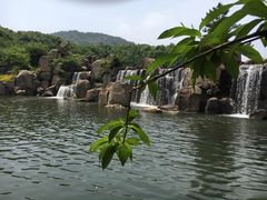 -白马涧龙池景区