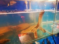 -小湘旺臭鳜鱼(百子湾店)