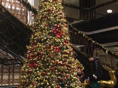 -上海苏宁宝丽嘉酒店·Cafe Bellagio西餐厅