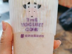 -一只酸奶牛(春熙路店)