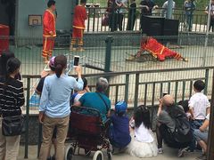 -中国扬子鳄村