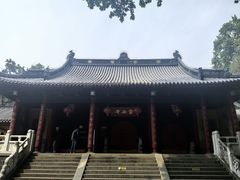 -灵谷景区