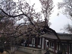 -西安青龙寺遗址景区