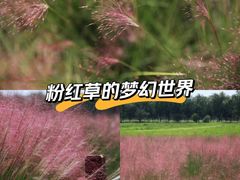 -汉长安城未央宫国家考古遗址公园