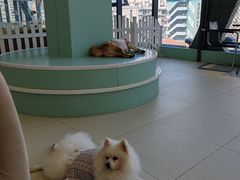 -怪兽屋·羊驼·猫咖·狗咖(俊华广场店)