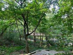 -南山风景名胜区