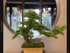 -绍兴鲁迅故里·沈园景区