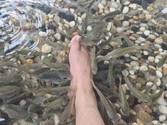 -融汇温泉