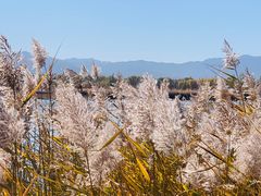 -野鸭湖国家湿地公园