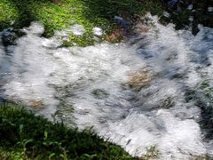 -云岫谷游猎自然风景区