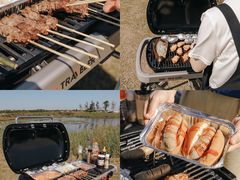 -春花秋色城市公园