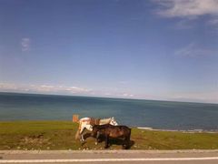 -青海湖国家重点风景名胜区