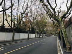 -RUMORS COFFEE ROASTERY鲁马滋咖啡(湖南路店)