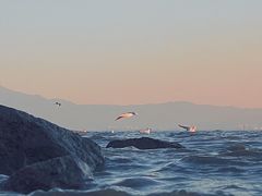 -深圳湾公园(南山区)