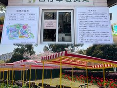 -径山花海
