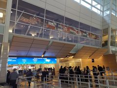 -达拉斯 沃斯堡国际机场